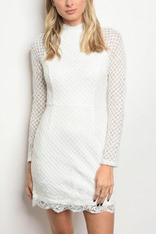 Net Lace Dress